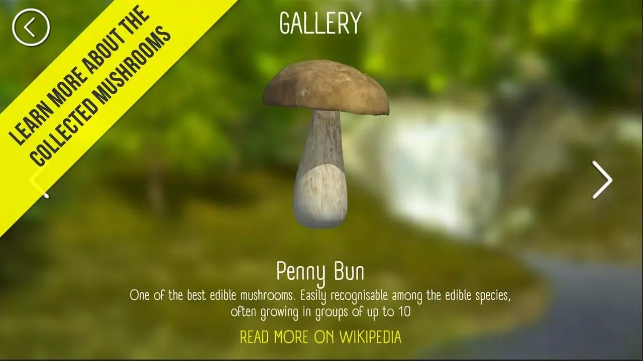 Real Mushroom Hunting Simulato Ekran Görüntüleri