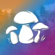 Mushroom Hunting Simulator 3D Mushroom Hunting Simulator 3D