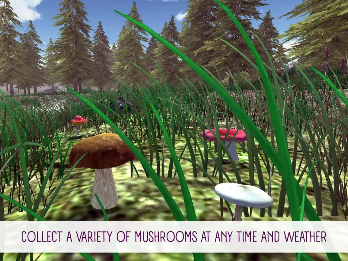 Mushroom Hunting Simulator 3D iPad 应用截图