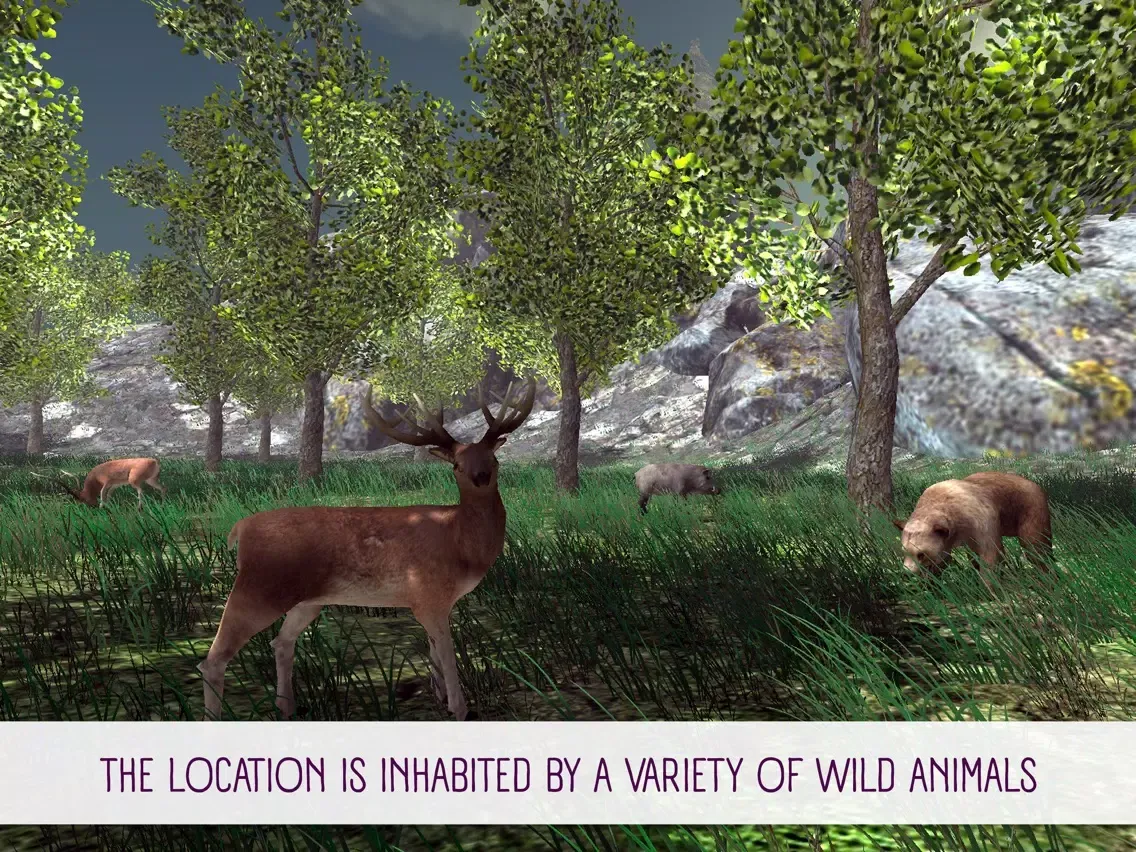 Mushroom Hunting Simulator 3D iPad 应用截图