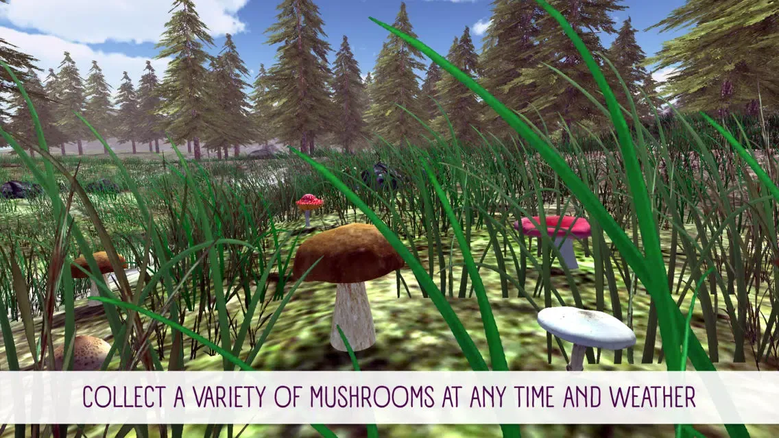 Mushroom Hunting Simulator 3D应用截图