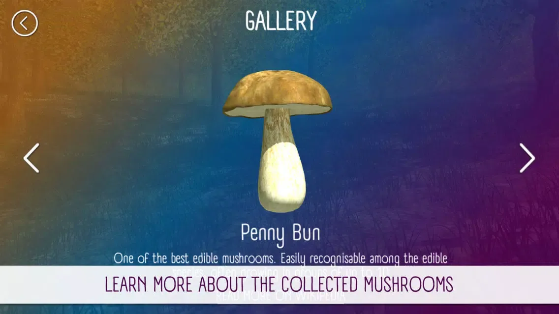 Mushroom Hunting Simulator 3D应用截图