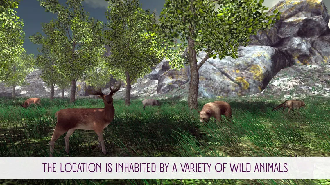 Mushroom Hunting Simulator 3D应用截图