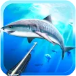 Spearfishing. Marine life.