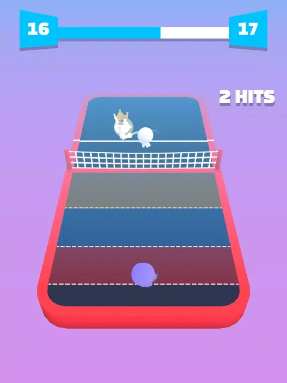 تصاویر Tennis Smash 3D iPad 