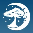 Dreaming Tree Dreaming Tree