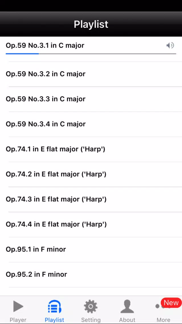 Zrzuty ekranu BeethovenQuartets2