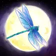Dreamscapes Dream Dictionary Dreamscapes Dream Dictionary