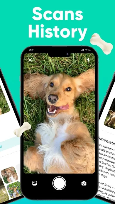 Dog Scanner - Breed Identifier Screenshots