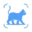 Cat Breed Identifier: Pet Scan