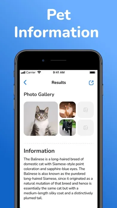 Capturas de tela do Cat Breed Identifier: Pet Scan