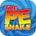 PE Shake