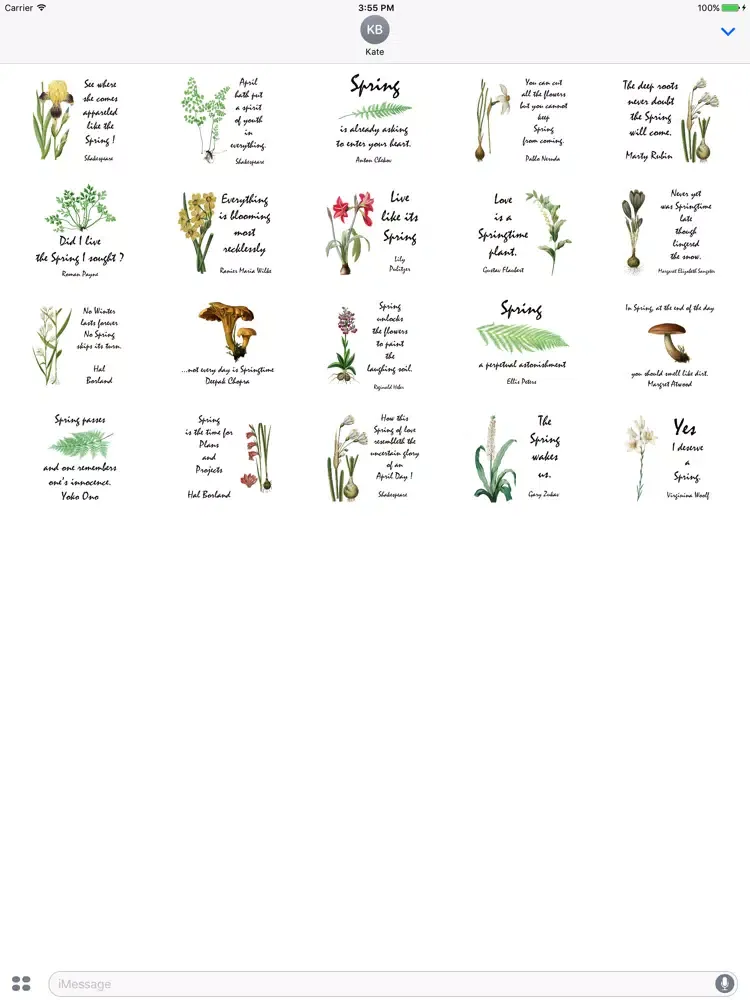 Captures d'écran de Spring Holiday Stickers iPad 