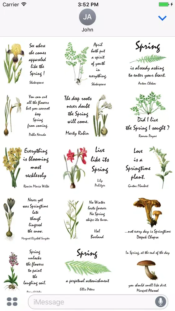 Captures d'écran de Spring Holiday Stickers