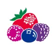 Berry Calculator Berry Calculator