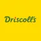 One Driscoll's