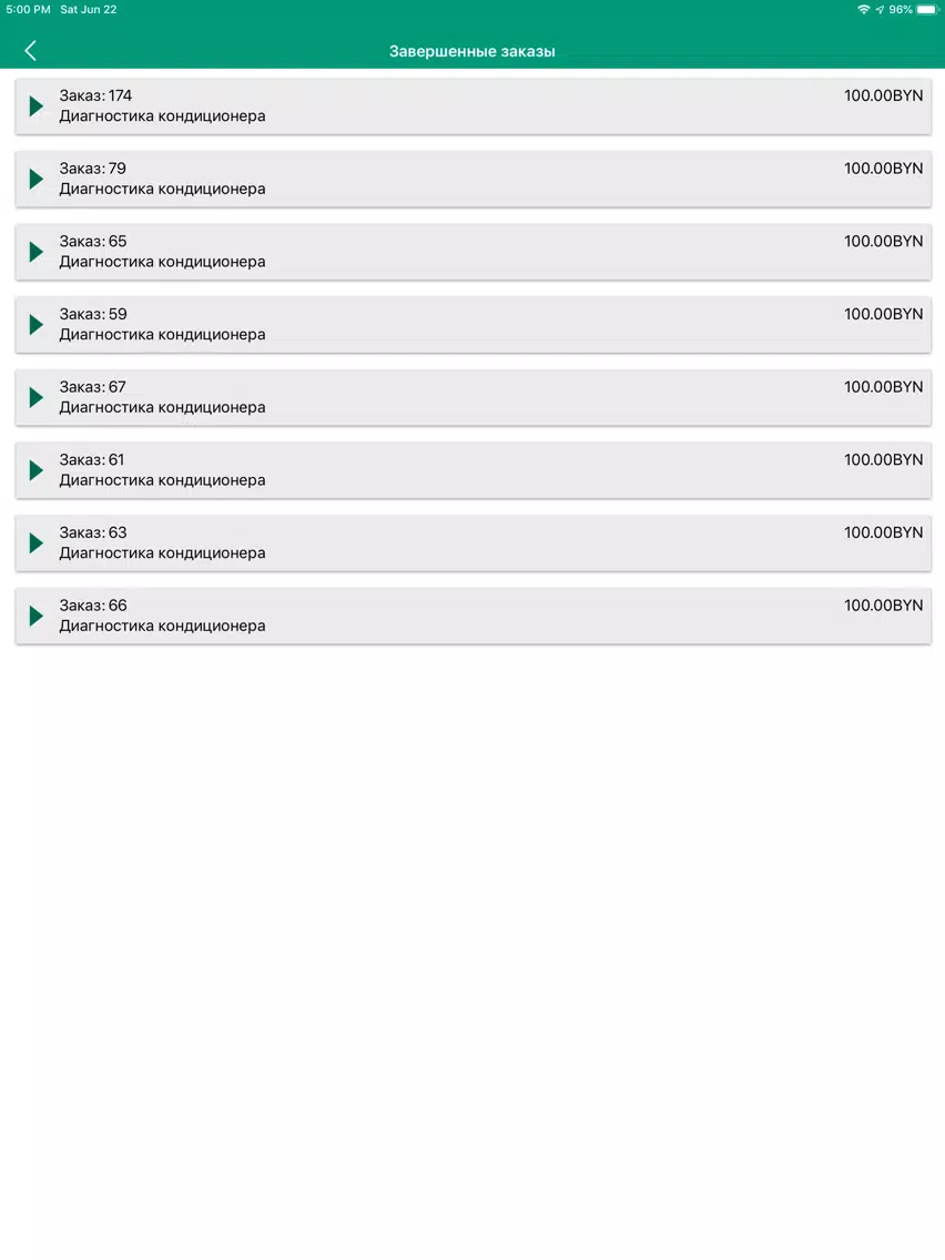 Screenshot di Everis Specialists iPad 
