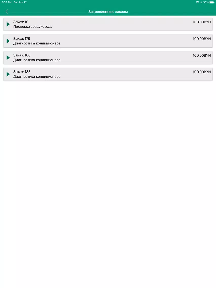 Screenshot di Everis Specialists iPad 
