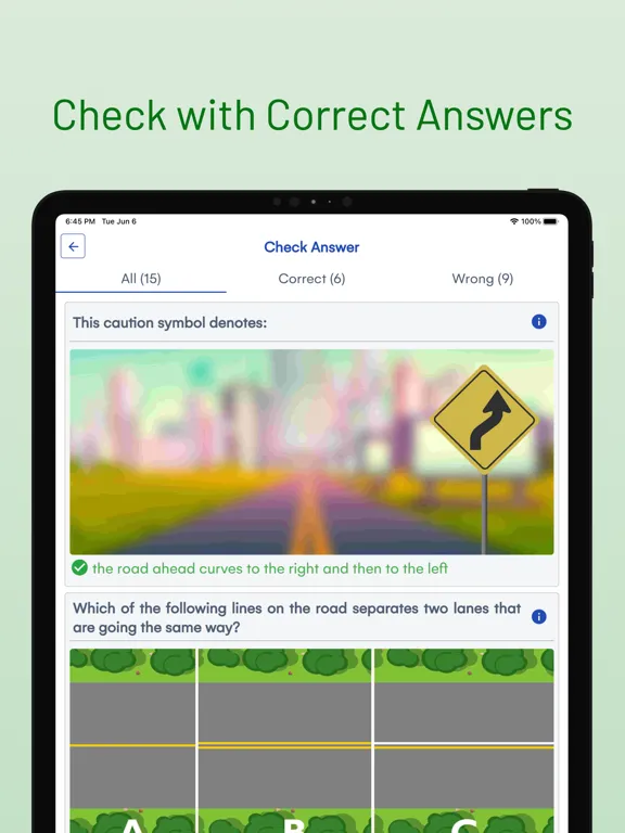 Zrzuty ekranu Michigan DMV Driver Test Prep iPad 