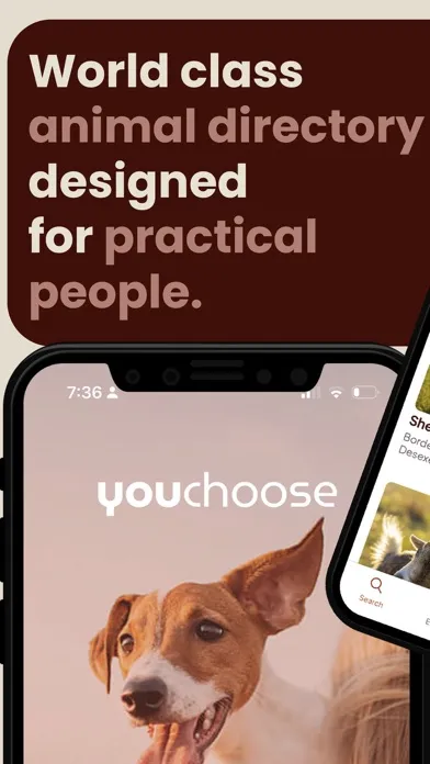 صور YouChoose