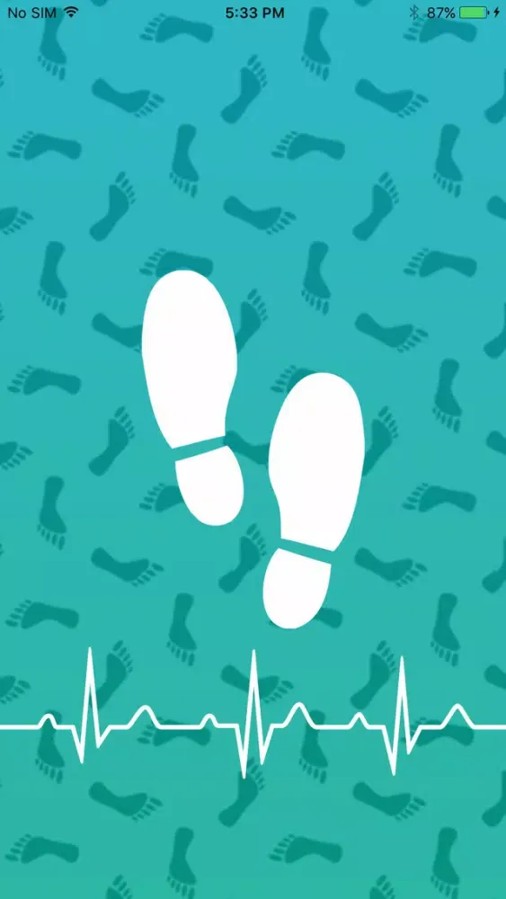 Pedometer Steps Ekran Görüntüleri