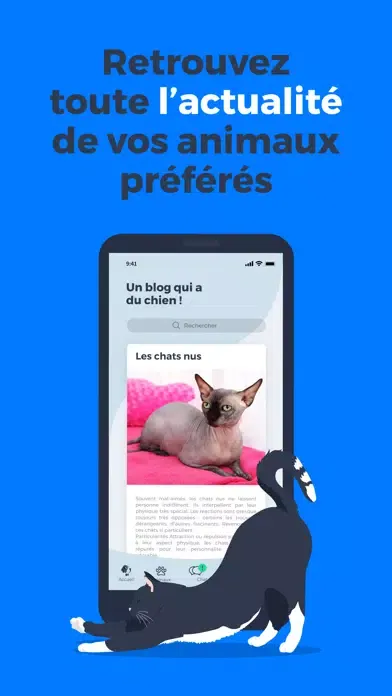 Tangkapan layar Dr Milou
