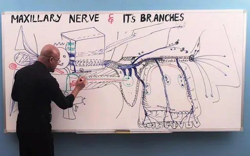 Dr. Najeeb Lectures Screenshots