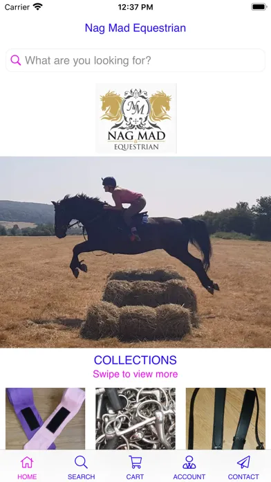 صور Nag Mad Equestrian