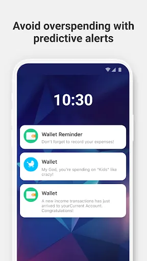Wallet: Budget Expense Tracker Screenshots