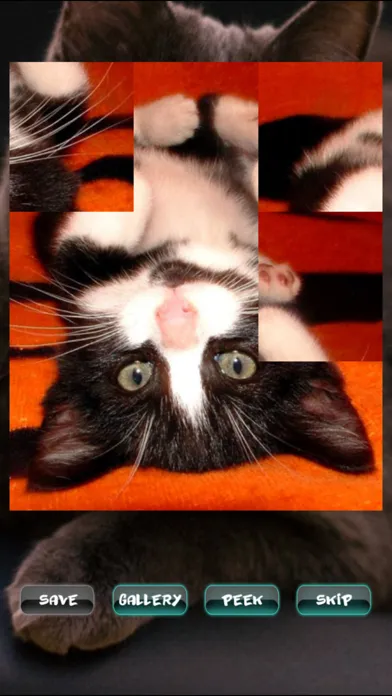 Скриншоты Cat Puzzles