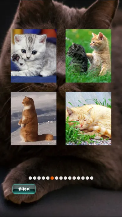 Скриншоты Cat Puzzles