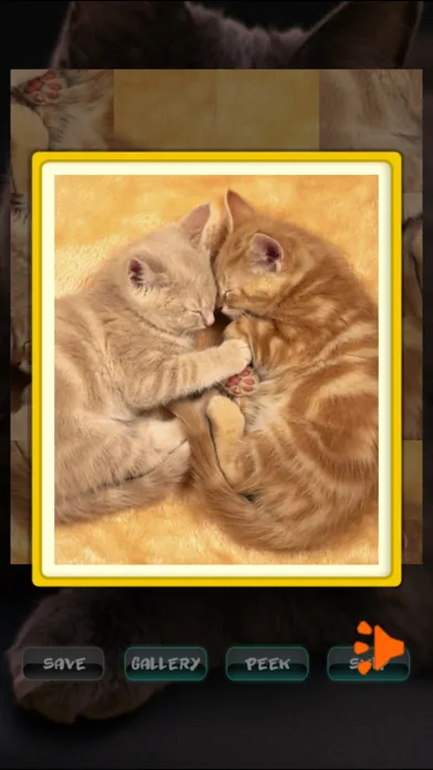Скриншоты Cat Puzzles