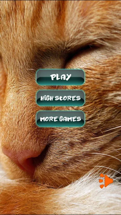 Скриншоты Cat Puzzles