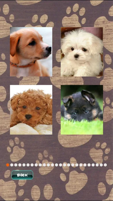 Cute Puppies Puzzle Ekran Görüntüleri