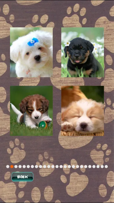 Cute Puppies Puzzle Ekran Görüntüleri