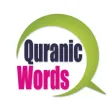 The Quranic Words The Quranic Words