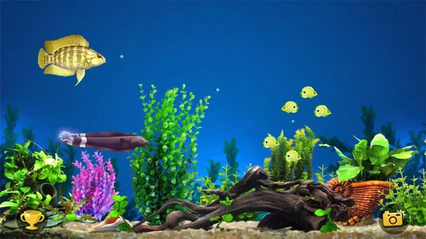 Fishing Predator Screenshots