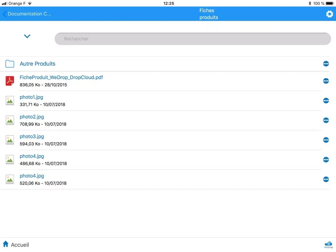 Скриншоты Wedrop iPad 
