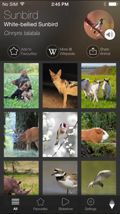 Tangkapan layar Animal Explorer Free: Sounds and Photos