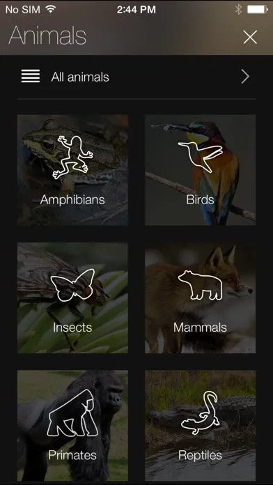 Tangkapan layar Animal Explorer Free: Sounds and Photos