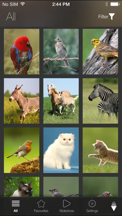 Tangkapan layar Animal Explorer Free: Sounds and Photos