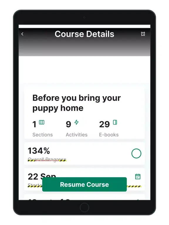 Dog School Pup Training School iPad  Ekran Görüntüleri