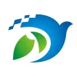 掌上荥经