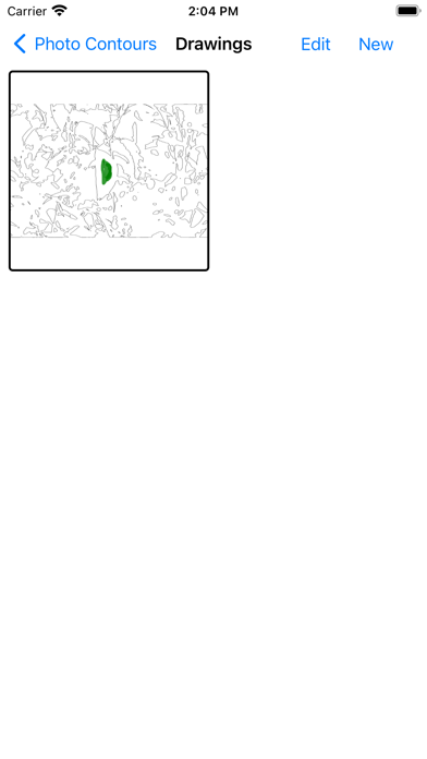 DrawingCamera应用截图