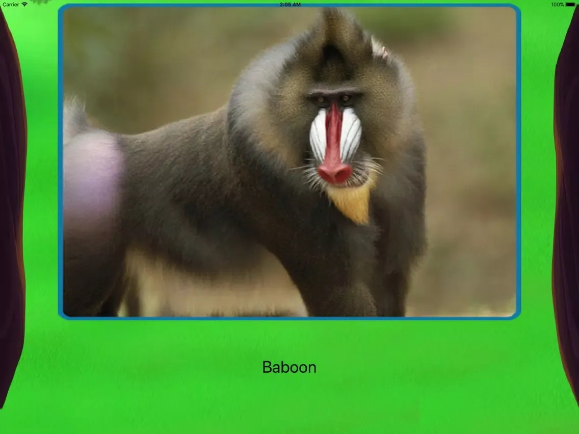 تصاویر Jungle Safari Preschool iPad 