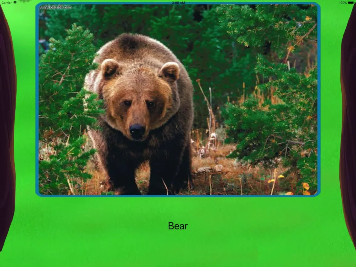 تصاویر Jungle Safari Preschool iPad 