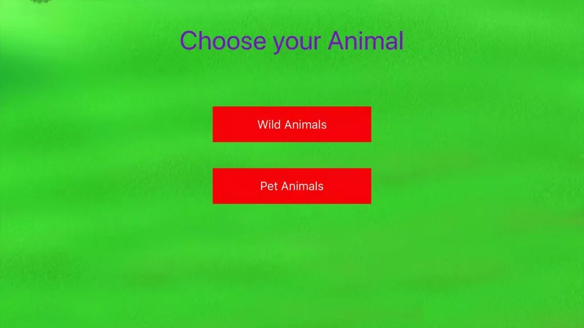 تصاویر Jungle Safari Preschool