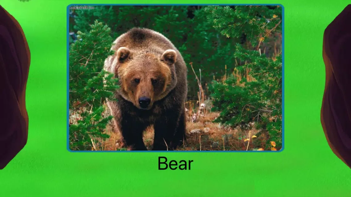 تصاویر Jungle Safari Preschool