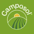 Camposol EasyWeb