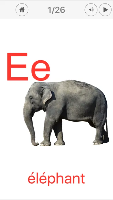 ภาพหน้าจอของ French Alphabet Cards